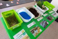 Ashworth View Nursery - Bumble Bees room