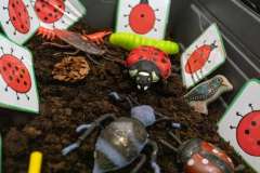 Ashworth View Nursery - Busy Bees room