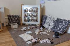 Ashworth View Nursery - Little Lambs room